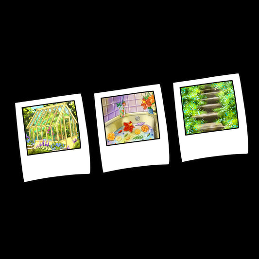 Flora: Polaroid Die Cut Sticker Pack